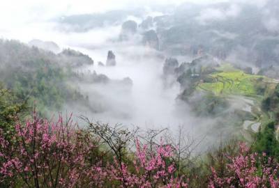 候鳥(niǎo)的選擇，彰顯湖南生態(tài)系統(tǒng)持續(xù)優(yōu)化